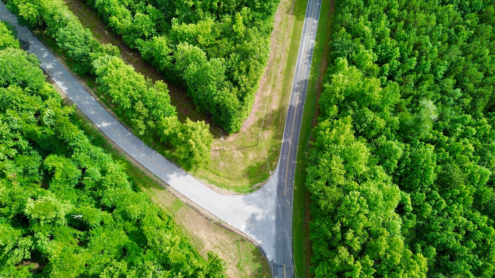 3 Things I learned going from Engineer to Manager